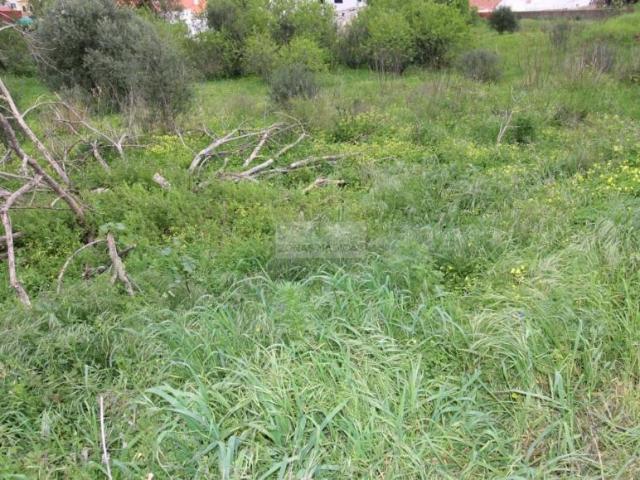 Terrenos Lagos Algarve DS99722948