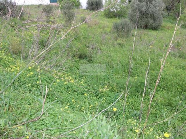 Terrenos Lagos Algarve DS99722950