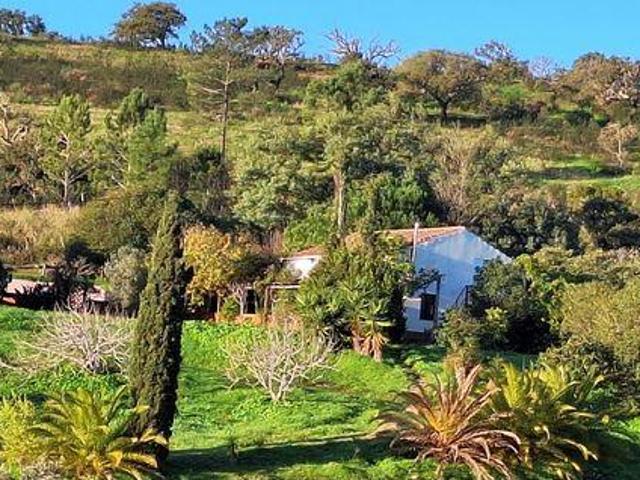 Terrenos Lagos Algarve 8600 013 DS99027469