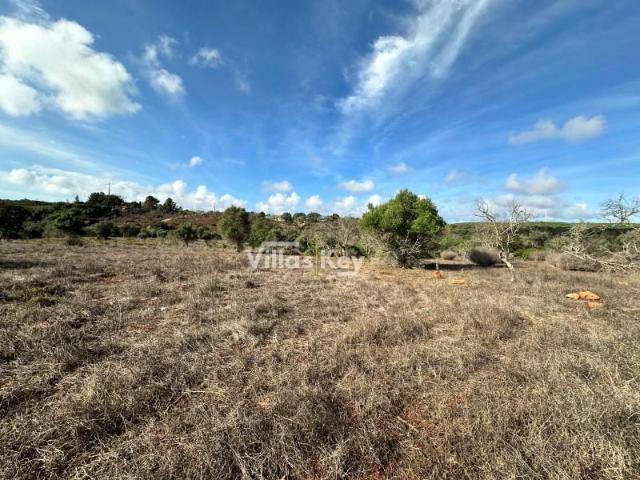 Terrenos Lagos Lagos DLS87045144