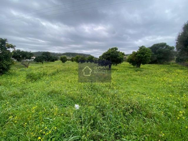 Terrenos Lagos Lagos DLS87446884