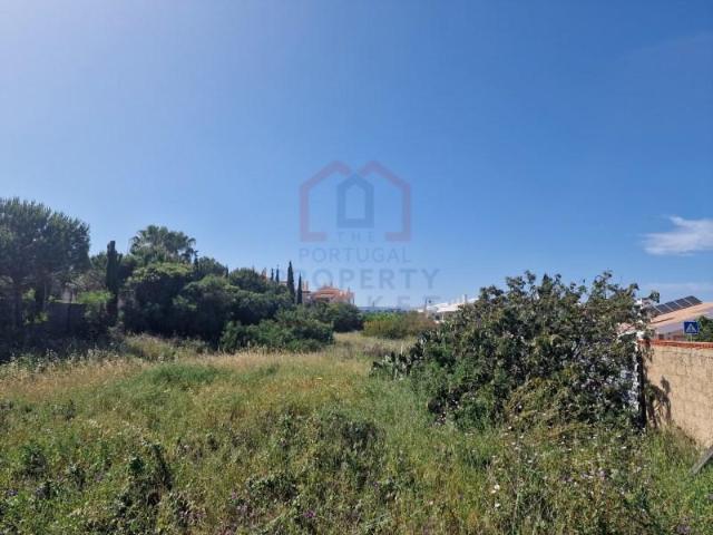 Terrenos Lagos Lagos DLS94447582