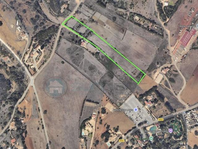 Terrenos Lagos Lagos DLS95416559