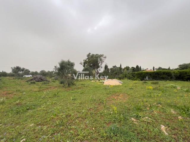 Terrenos Lagos Lagos DLS99291681