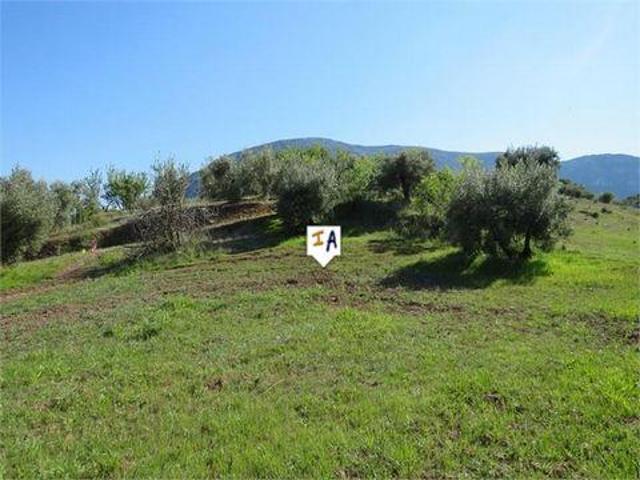 Terrenos Las Casillas Jaen LS82003499