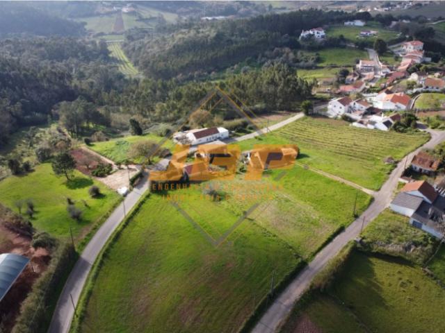 Terrenos Leiria Caldas da Rainha 2500 DLS101469116
