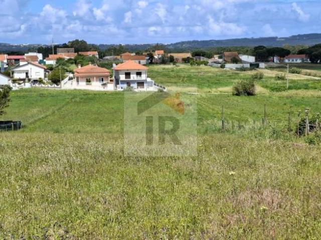 Terrenos Leiria Caldas da Rainha 2500 DLS102242970