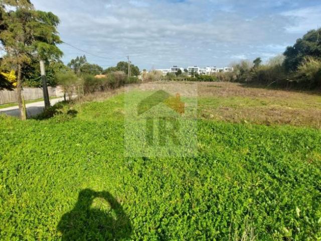 Terrenos Leiria Caldas da Rainha 2500 DS101468801