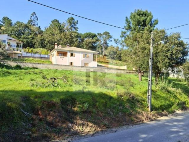 Terrenos Leiria Caldas da Rainha 2500 DS99934441