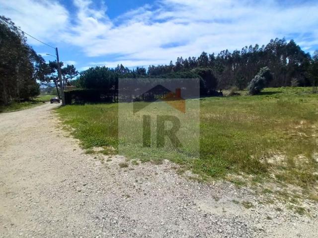 Terrenos Leiria Alcobaça 2460 DLS102306531