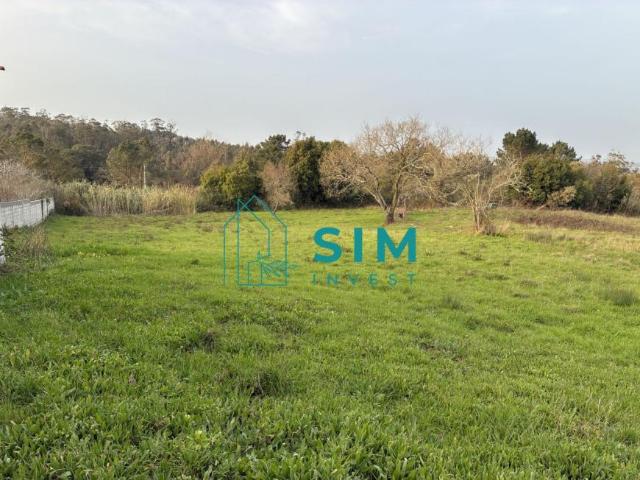 Terrenos Leiria Alcobaça 2460 DS99934828