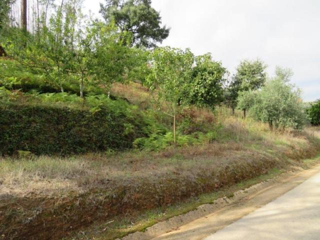 Terrenos Leiria Figueiró dos Vinhos 3260 DS98918388