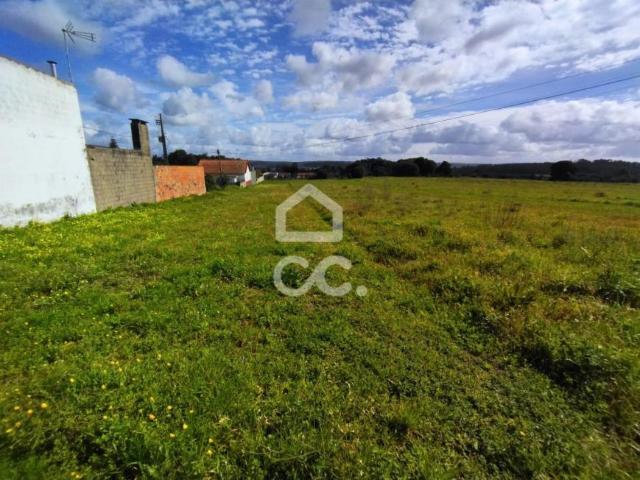 Terrenos Leiria Leiria DLS100215122