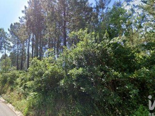 Terrenos Leiria Leiria DLS100398076