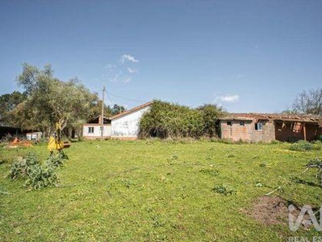 Terrenos Leiria Leiria DLS101119105