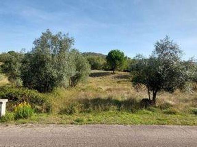 Terrenos Leiria Leiria DLS101997188