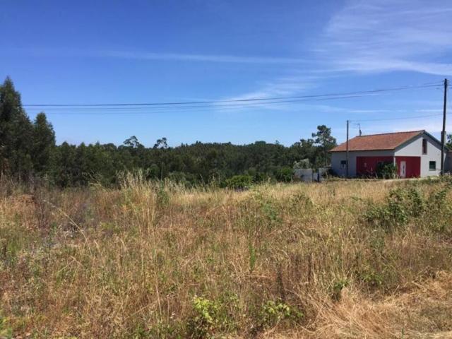 Terrenos Leiria Leiria DLS96292717