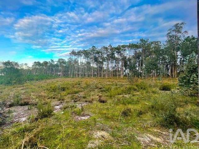 Terrenos Leiria Leiria DS102117159