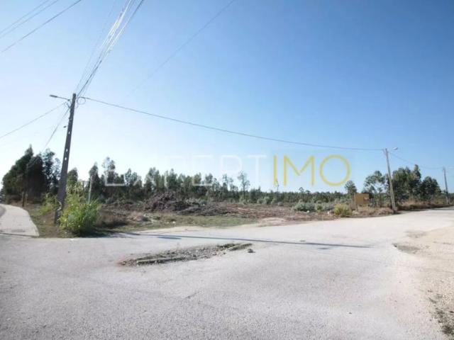Terrenos Leiria Leiria DS91598512