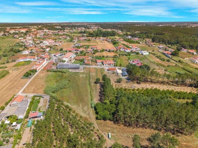 Terrenos Leiria Leiria DS92929156