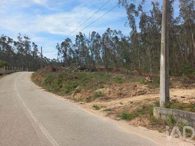 Terrenos Leiria Leiria DS92066554
