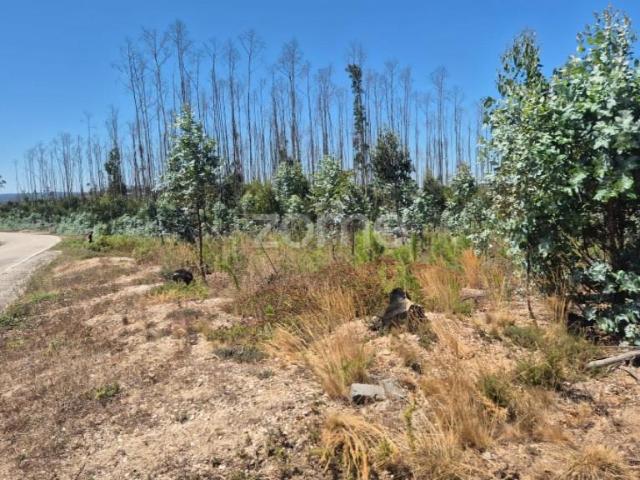 Terrenos Leiria Leiria DS94215568