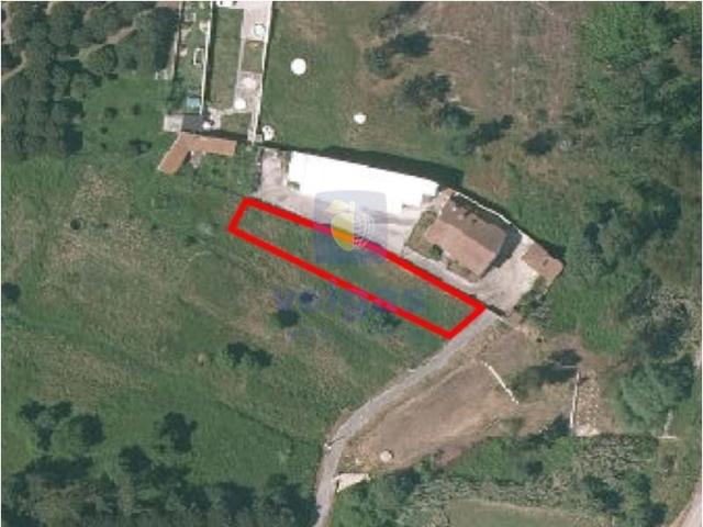 Terrenos Leiria Leiria DS95264424