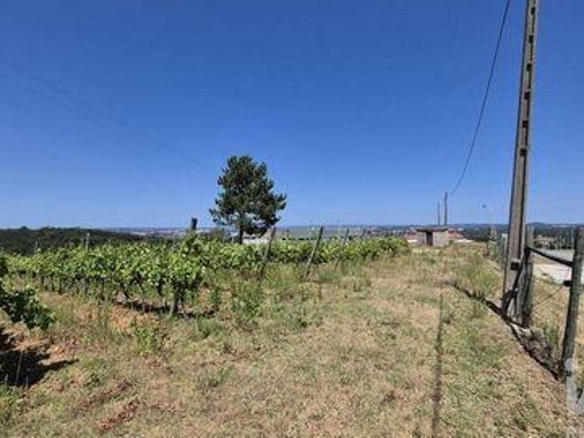Terrenos Leiria Leiria DS96891244