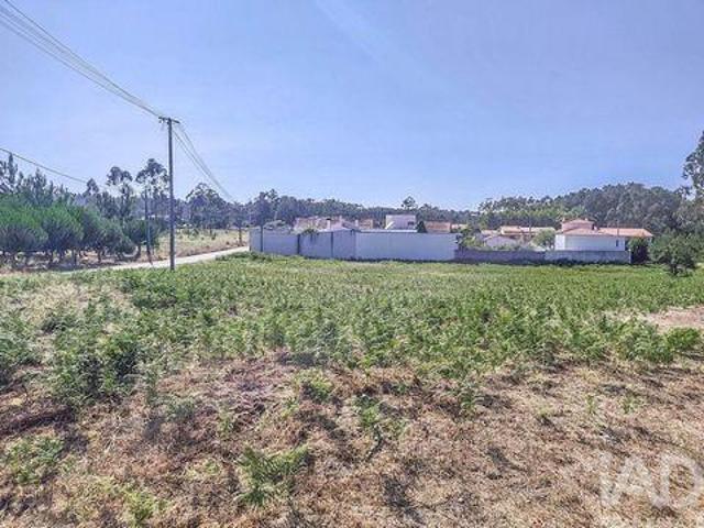 Terrenos Leiria Leiria DS96043291