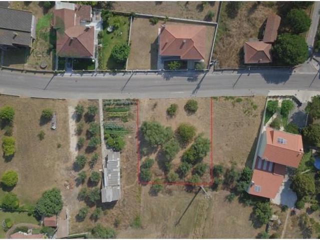 Terrenos Leiria Leiria DS96086113