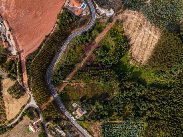 Terrenos Lisboa Cadaval 2550 DLS102204013