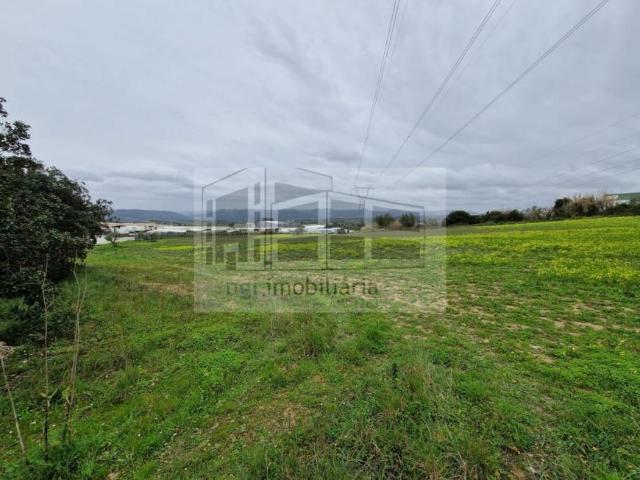 Terrenos Lisboa Arruda dos Vinhos 2630 DLS100085495