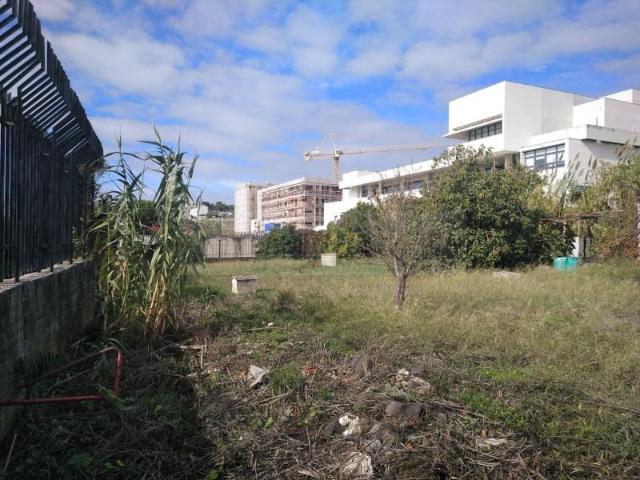 Terrenos Lisboa Lisboa DS96891335