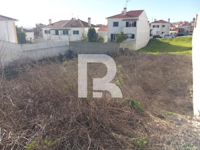 Terrenos Lisboa Mafra 2640 DLS96842264