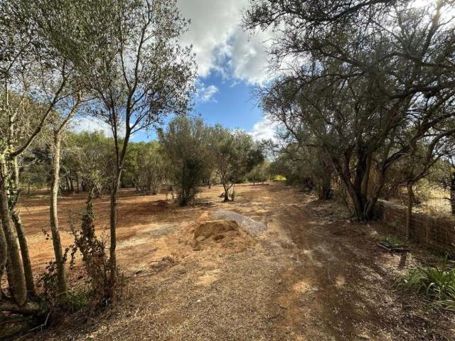 Terrenos Loulé Algarve DLS101953553