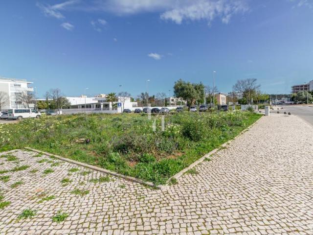 Terrenos Loulé Algarve DS62274709