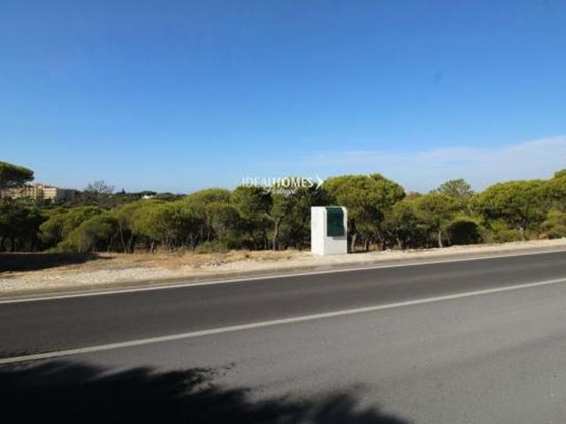 Terrenos Loulé Algarve DS63345925