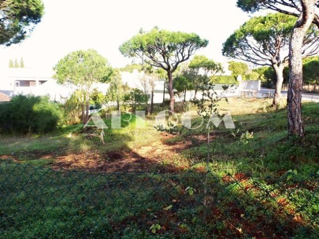 Terrenos Loulé Algarve DS66347356