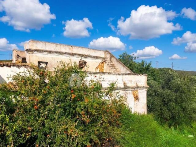 Terrenos Loulé Algarve DS77757894