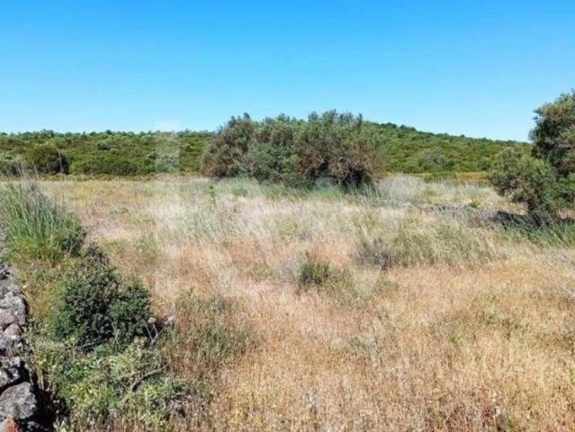Terrenos Loulé Algarve DS79502662