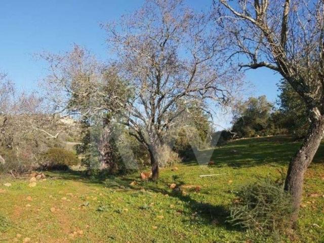 Terrenos Loulé Algarve DS79782344