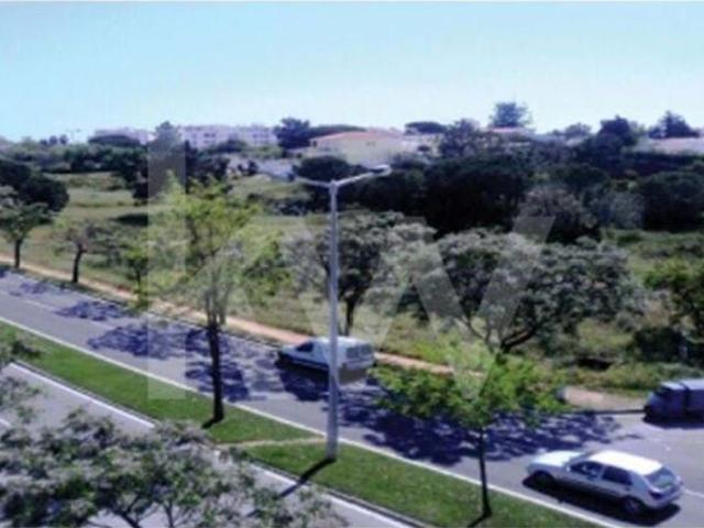 Terrenos Loulé Algarve DS79782352