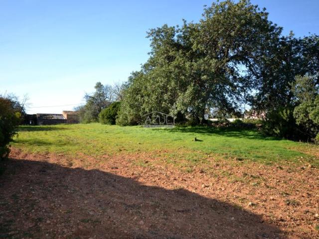 Terrenos Loulé Algarve DS80103421