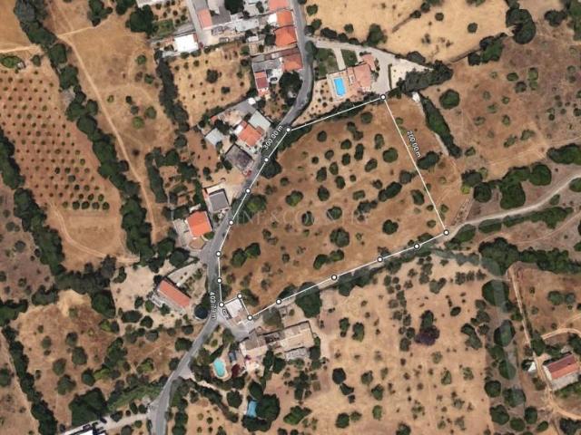 Terrenos Loulé Algarve DS81166617