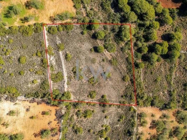 Terrenos Loulé Algarve DS84677960