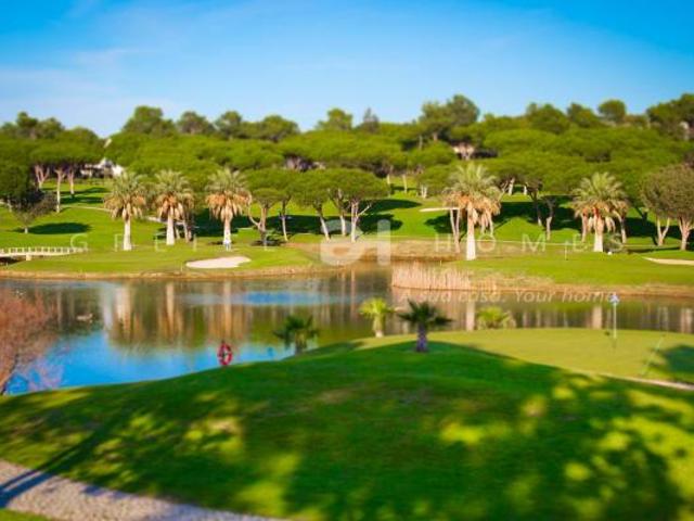 Terrenos Loulé Algarve DS84176430