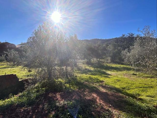Terrenos Loulé Algarve DS84284321