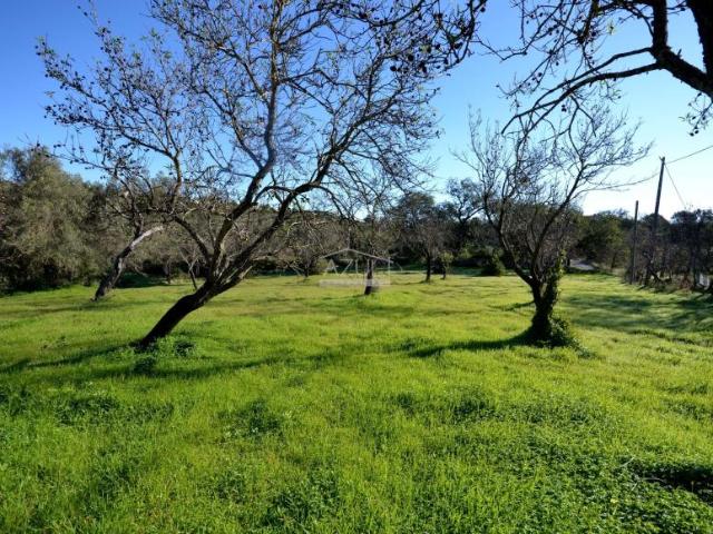 Terrenos Loulé Algarve DS85738868