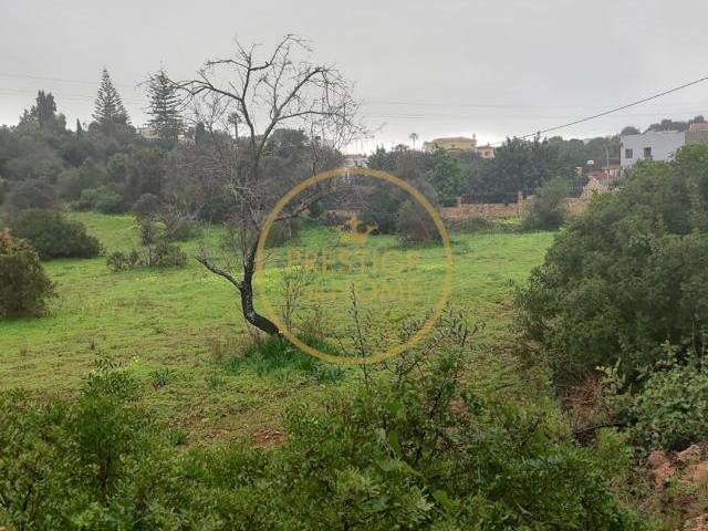 Terrenos Loulé Algarve DS86008660
