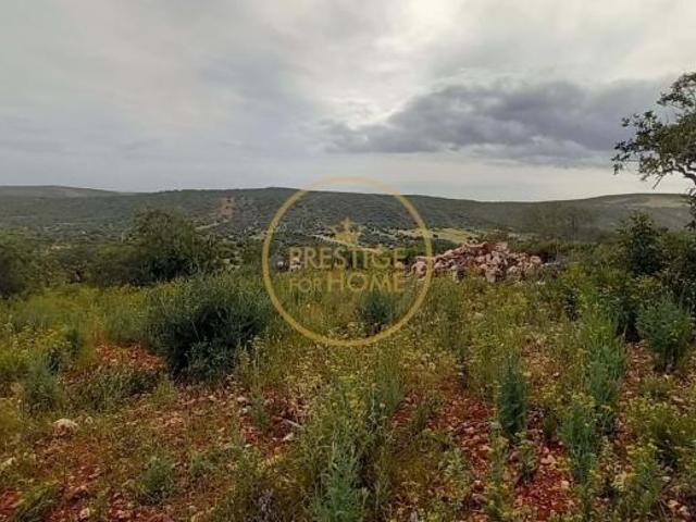 Terrenos Loulé Algarve DS86008752